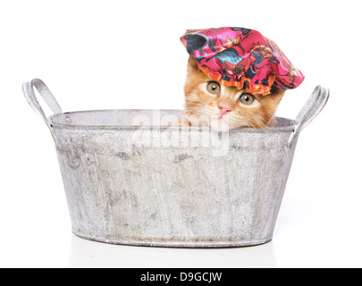 elfbar nachfüll pod läuft aus Custom Cat Design Cap