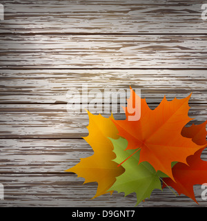 Autumn maple leaves on wood background. Vector eps10 illustration Stock Photo