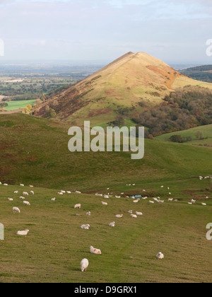 The Lawley viewed from the neighbouring hill of Caer Caradoc, in the Shropshire Hills AONB Stock Photo