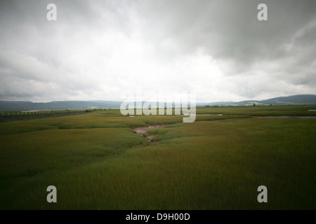 The Shepody River's surrounding Wetlands in New Brunswick. Stock Photo