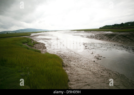The Shepody River and its surrounding Wetlands in New Brunswick. Stock Photo