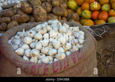 Asia, India, Karnataka, Mysore, garlic in a gunnysack Stock Photo