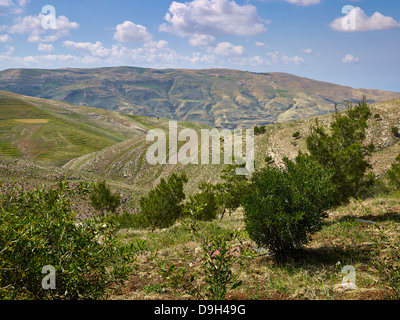 Landscape at Mount Nebo, Jordan, Middle East Stock Photo