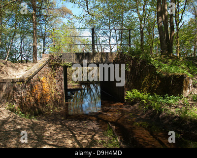 Old Holmsley railway line bridge now used as a cycle and walking track ...