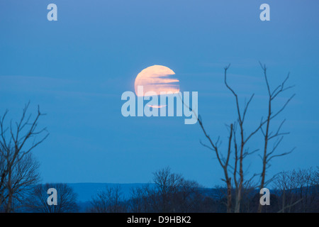 Full Moon rising - Supermoon - diffraction - changing shape Stock Photo ...