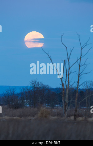 Full Moon rising - Supermoon - diffraction - changing shape Stock Photo ...