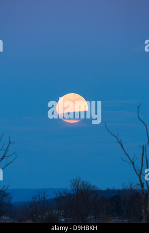 Full Moon rising - Supermoon - diffraction - changing shape Stock Photo ...