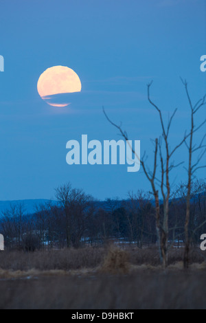 Full Moon rising - Supermoon - diffraction - changing shape Stock Photo ...