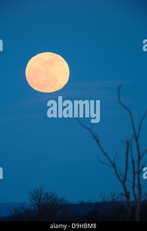 Full Moon rising - Supermoon - diffraction - changing shape Stock Photo ...