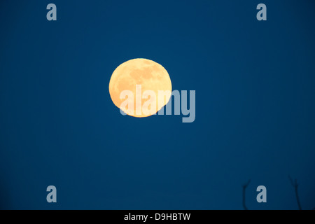 Full Moon rising - Supermoon - diffraction - changing shape Stock Photo ...