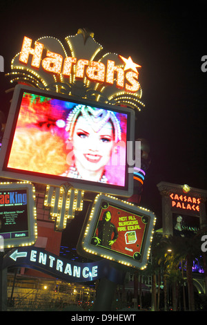 Las Vegas Nevada,The Strip,South Las Vegas Boulevard,Caesars Palace,Harrah's,night evening,neon,signs,casino,neon,sign,NV130327070 Stock Photo