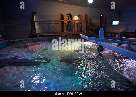 Interior of SeaLife aquarium Scheveningen The Haag Holland Stock Photo