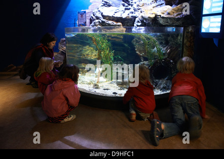 Interior of SeaLife aquarium Scheveningen The Haag Holland Stock Photo