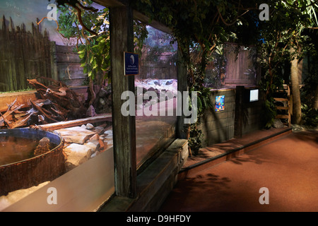 Interior of SeaLife aquarium Scheveningen The Haag Holland Stock Photo