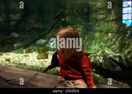 Interior of SeaLife aquarium Scheveningen The Haag Holland Stock Photo