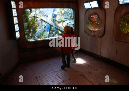 Interior of SeaLife aquarium Scheveningen The Haag Holland Stock Photo