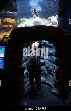 Interior of SeaLife aquarium Scheveningen The Haag Holland Stock Photo