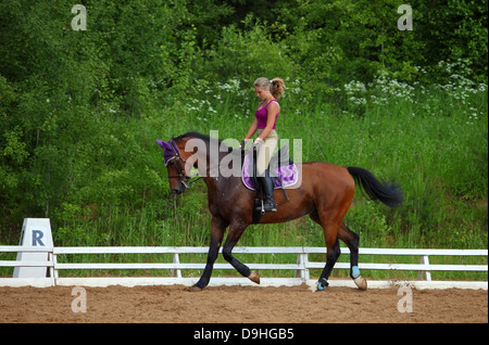 Equestrian woman riding dressage American Standardbred horse Stock Photo