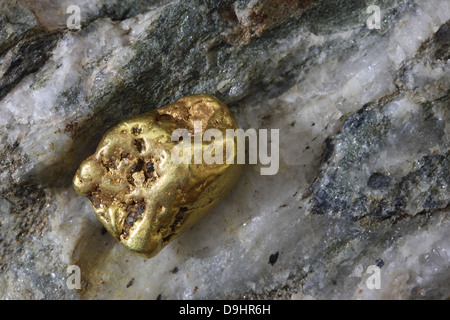 Natural Alaskan (USA) Placer Gold Nugget Stock Photo