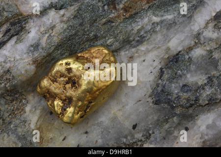 Natural Alaskan (USA) Placer Gold Nugget Stock Photo