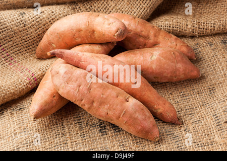 Fresh Organic Orange Sweet Potato against a background Stock Photo