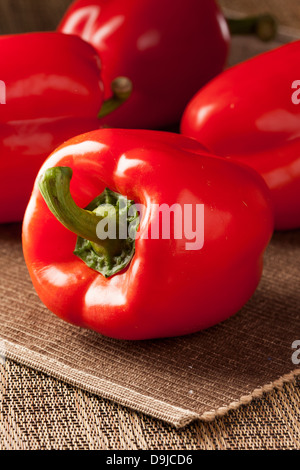 Fresh Organic Red Bell Pepper against a background Stock Photo