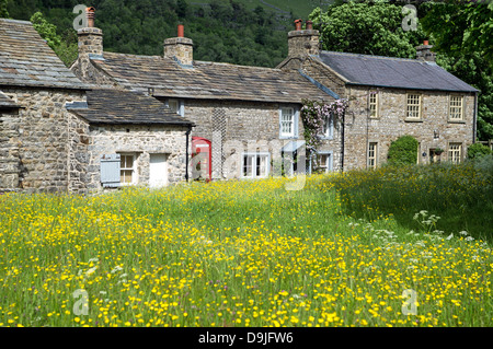 Arncliffe Village in Littondale Yorkshire in June, England, UK Stock Photo