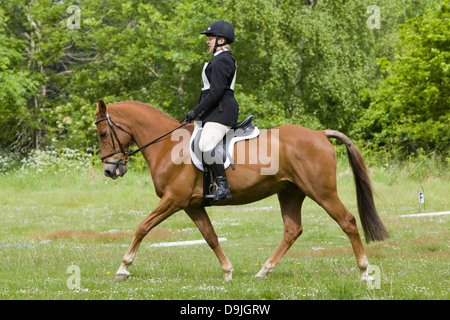 A competitor taking part in a One Day Event. The event is made up of Dressage, Show Jumping and Cross Country. Stock Photo