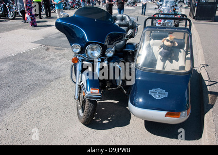 Harley Davidson Electra Glide Ultra Classic Motorcycle & Sidecar Stock Photo