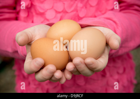 A child holding a handful of fresh eggs Stock Photo