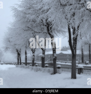 Jrem Background Winter nature background, frozen tree branches and falling snowflakes ...