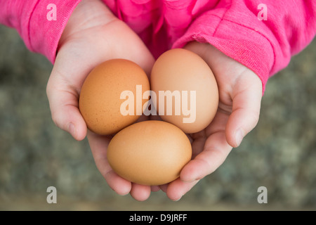 A child holding a handful of fresh eggs Stock Photo