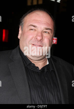 ARCHIVE IMAGES: June 19, 2013 - James Gandolfini, star of HBO's 'The Sopranos,' has died of a possible heart attack in Rome. He was 51. Gandolfino was known for his role as Tony Soprano in the HBO series 'The Sopranos.' PICTURED:Jan. 7, 2013 - New York, New York, U.S. - Actor JAMES GANDOLFINI attends the New York Film Critics Circle Awards held at The Crimson Club. Credit: Nancy Kaszerman/ZUMAPRESS.com/Alamy Live News Stock Photo