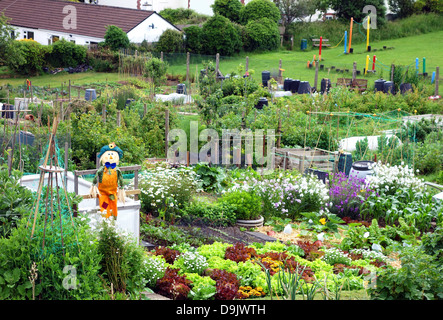 Allotments in an urban area Stock Photo