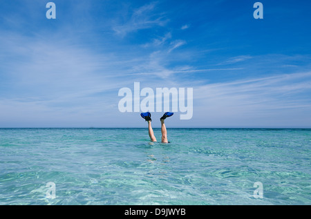 fins and fun in the blue carribean sea Stock Photo