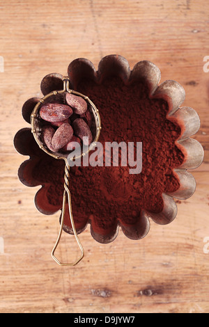 cocoa beans in sieve with cocoa powder in tinware on wood background Stock Photo