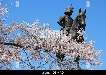 Equestrian Statue of Date Masamune at Sendai Castle in full bloom cherry blossom, Miyagi, Japan Stock Photo