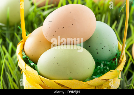 Colored Dyed Easter Eggs ready for spring Stock Photo