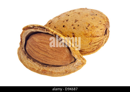 Two almonds isolated on white background Stock Photo