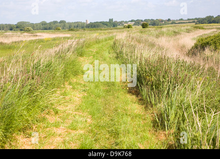 Path along flood defence dyke through Oxley marshes Suffolk England Stock Photo