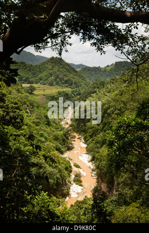 River passing through forest, Ananthagiri Hills, Araku Valley Visakhapatnam, Andhra Pradesh, India Stock Photo