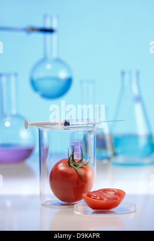 Tomato in laboratory container Stock Photo