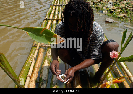 Rasta Man rolling a joint of marijuana at bamboo rafting, Great River ...