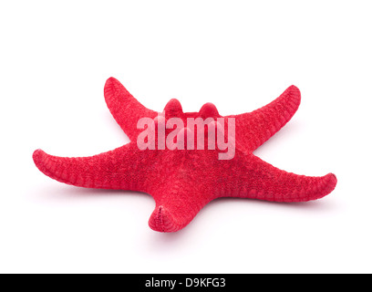 Red starfish isolated on white Stock Photo