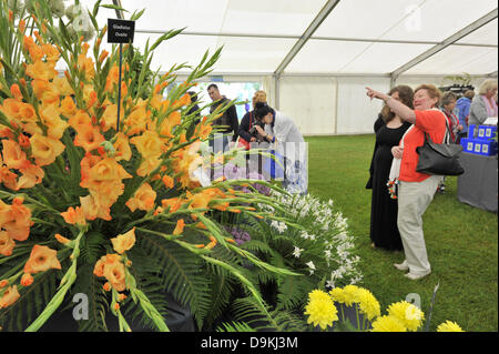 Woodstock, Oxfordshire, UK. 21st June 2013. Woodstock, Oxfordshire, UK. 21st June 2013. Visitors admire flower displays at the Blenheim Palace Flower Show, Woodstock, Oxfordshire UK 21st June 2013.  Today was opening day of the show which runs from 21st to 23rd June.  The show attracted thousands of visitors on the opening day who came to see stunning floral displays, gardening products, food and drink stands and celebrity speakers. Credit:  Julian Eales/Alamy Live News Stock Photo