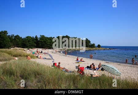 Storsand beach, Nattaroe Island, Stockholm Archipelago, baltic sea coast, Sweden, Scandinavia Stock Photo
