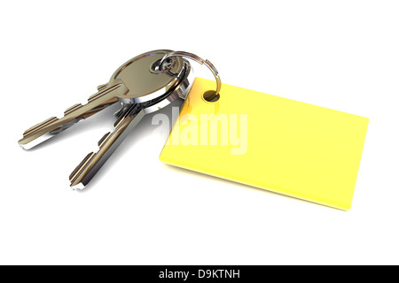 A Colourful 3d Rendered Keys With Blank Gold Keyring Concept Illustration Stock Photo