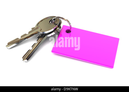 A Colourful 3d Rendered Keys with a Blank Pink Keyring Concept Illustration Stock Photo