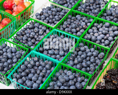 Ripe blueberries for sale at a local farmer's market in Bluffton, South Carolina Stock Photo