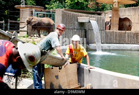 June 19, 2013 - Memphis, Tennessee, U.S. - June 19, 2013 - The Memphis Zoo is renovating the Elephant exhibit and filling in the moat. Construction workers from Mayer Construction pour concrete into part of the mote on Wednesday. (Credit Image: © Karen Pulfer Focht/The Commercial Appeal/ZUMAPRESS.com) Stock Photo